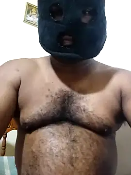 Hiptonos webcam