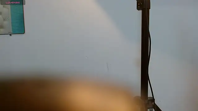 DraxBlade09 webcam