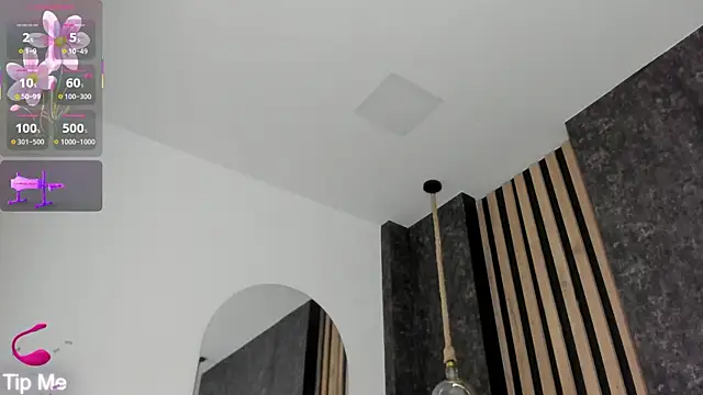 salome-gh webcam