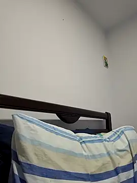 IrisBound webcam