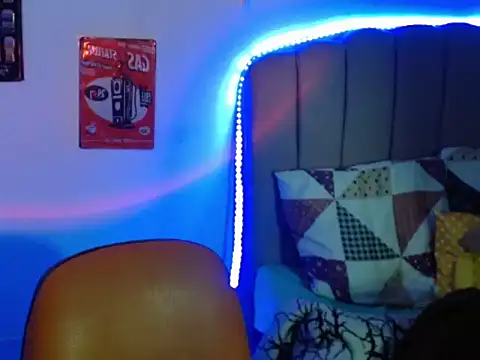 Evanss_lx webcam