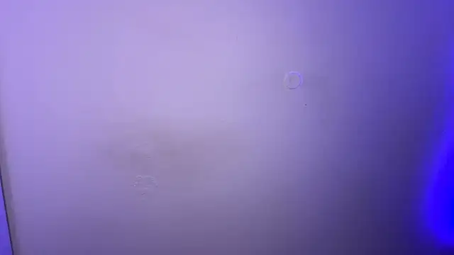 MarlysZlotnick webcam