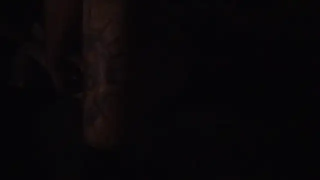 kripp3l webcam