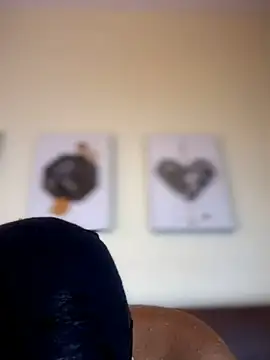 NovaFoxx webcam