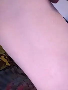 HoneySquirrel webcam