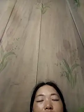 kotaka-shoow webcam