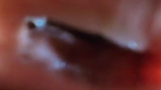 lisbet21x webcam