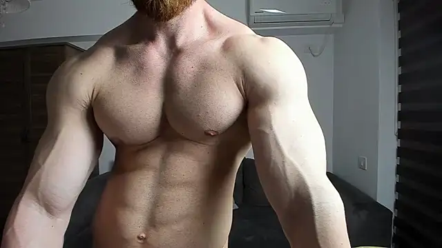 ZkkBlitz webcam
