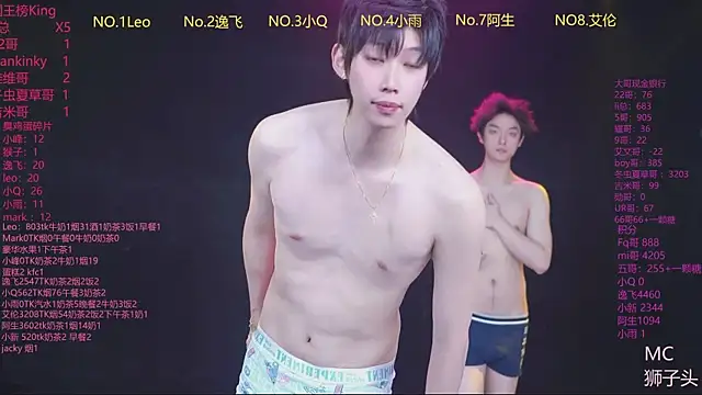 AAA-winner webcam