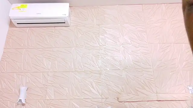 nina_bae webcam