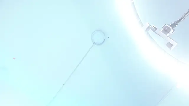 ladymooncs webcam