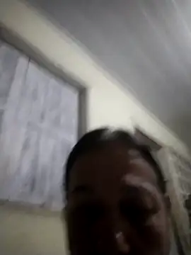 catdool webcam
