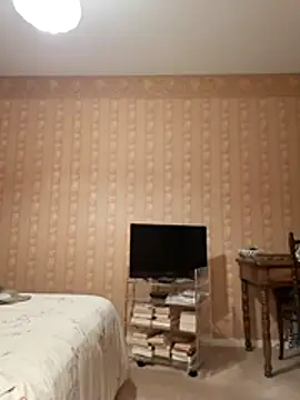 Perv10 webcam