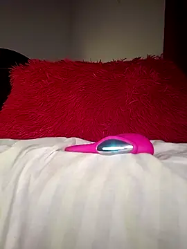 _____sams webcam