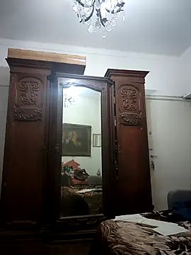 MatureElegantWidow webcam