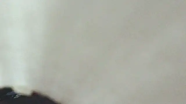 allesiabobs webcam