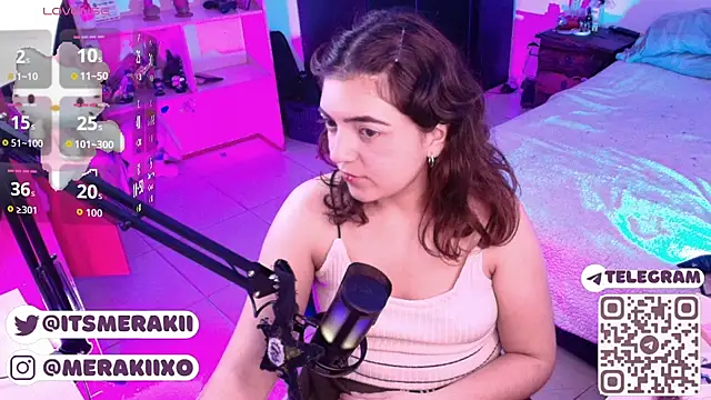 meraki_fraise webcam
