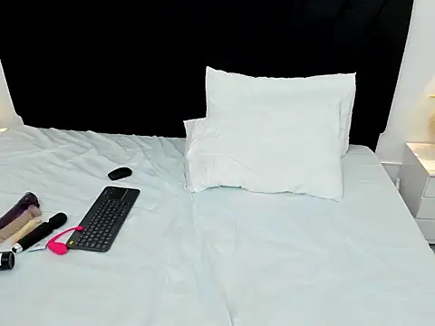 AnayPorter webcam