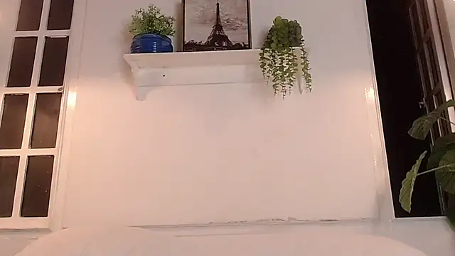 Jesve webcam