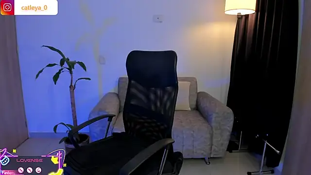 catleya_0
