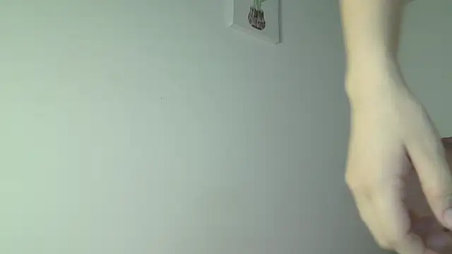 eva_sin18 webcam