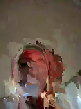 Sofhi_a20 webcam