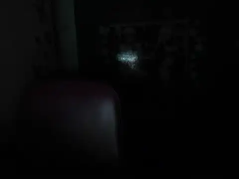 Luna_white1 webcam