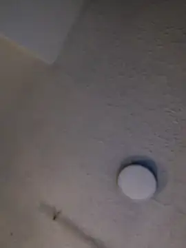 Lubnna webcam