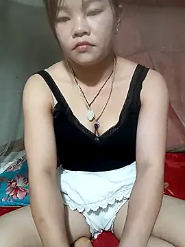 Lan_9x webcam