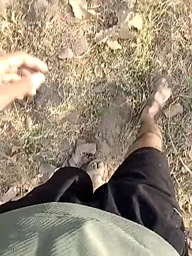 Forest_lover24 webcam