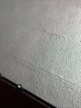 noah_ec webcam