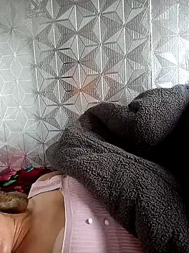 dualeo11 webcam