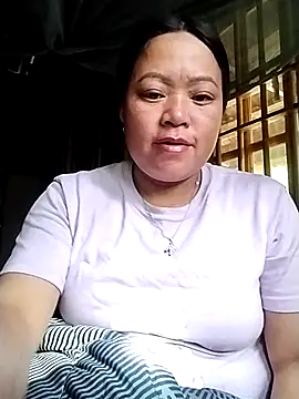 Min-in webcam