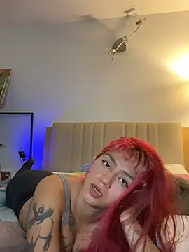 nth-li webcam