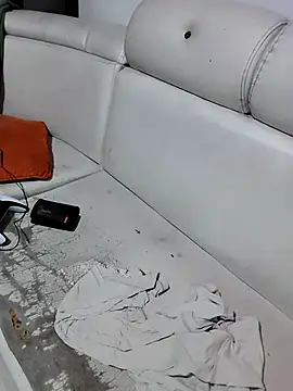 Perropa webcam