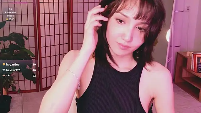 GentleMusee webcam