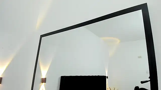 AnayPorter webcam