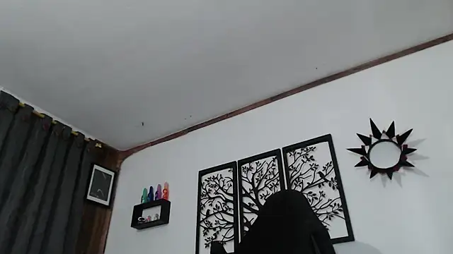 Ryan-theman webcam