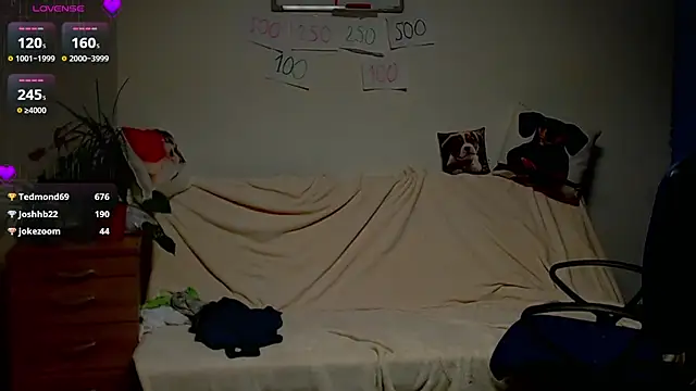 ZeinMiracles webcam