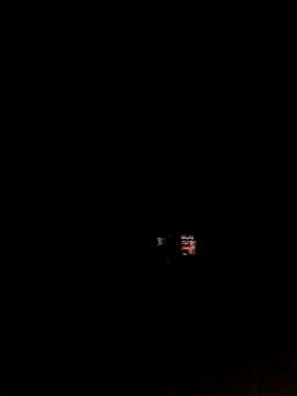 bruno_324278 webcam