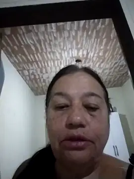 catdool webcam