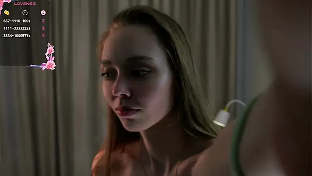 HermaFrain webcam