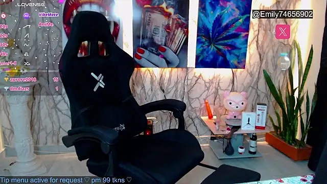 EmiTranny webcam