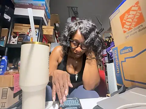 wynterheat webcam