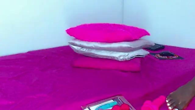 Milytylor webcam