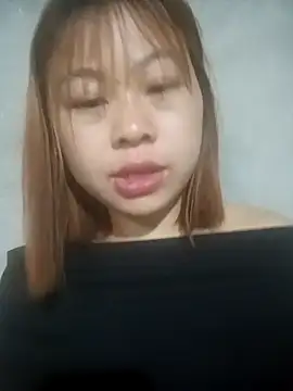 embe1144 webcam