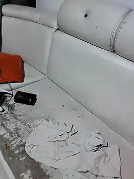 Perropa webcam
