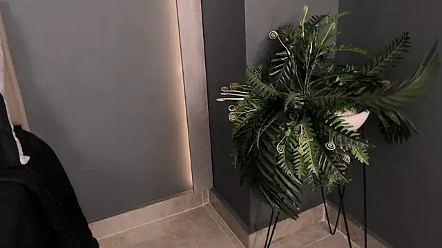 Preview of angelobellini