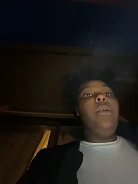 Bleuk webcam