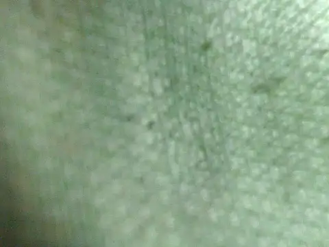 Preview of awesomemistress_bigcock